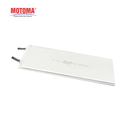 Mini Tablet Pc Battery, batteria ultra sottile 6000mAh del polimero del litio
